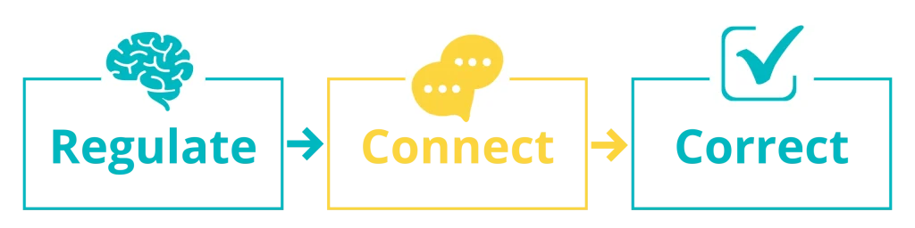 Regulate, Connect, Correct framework diagram