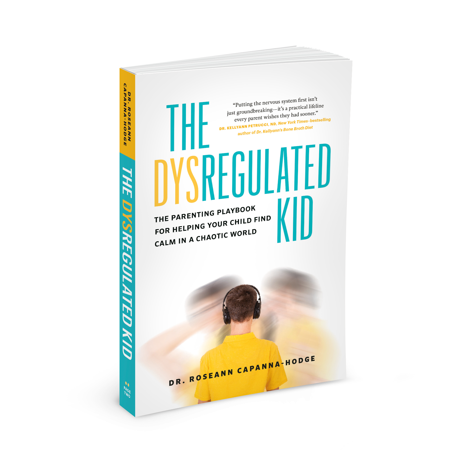 The Dysregulated Kid 3D book cover